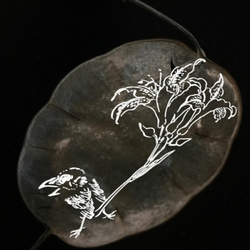 attentiveness to ethereal plants